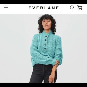 NWOT Everlane Lofty knit Henley sweater.